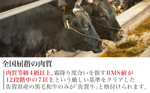 佐賀牛切り落とし 500g (佐賀牛ウデ モモ バラ肉のいずれか) すき焼き しゃぶしゃぶ ギフト「2023年 令和5年」