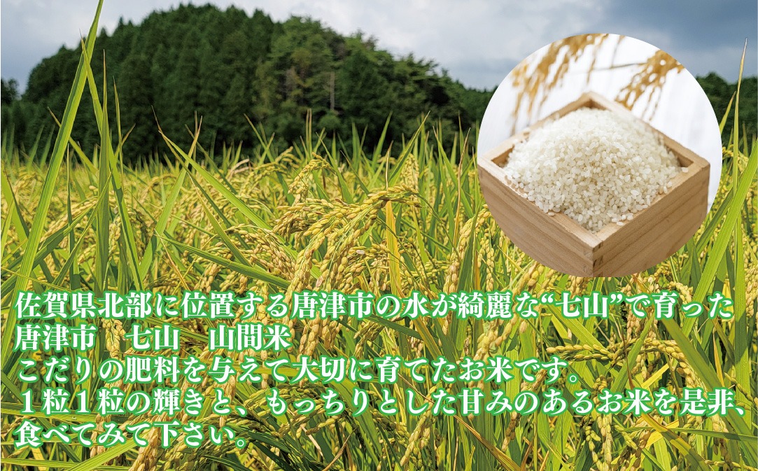 『先行予約』【令和6年産】山間米 コシヒカリ 5kg×2袋(合計10kg) 唐津 七山