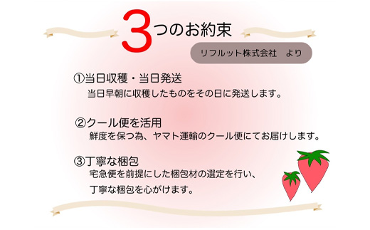 『先行予約』【令和8年3月より順次発送】唐津産 いちごさん 約250g×4パック(合計約1kg) 濃厚いちご 苺 イチゴ 果物 フルーツ