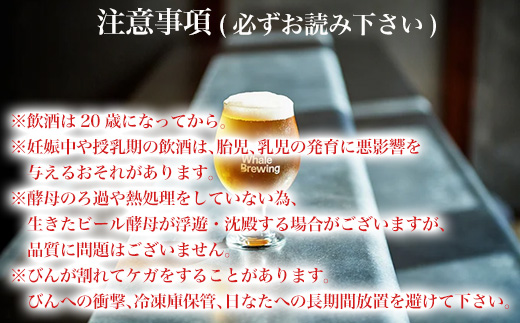 クラフトビール IPA (1本330ml×6本セット) India Pale Ale 呼子 ご当地 瓶ビール ギフト クラフト お酒 アルコール 家飲み「2024年 令和6年」