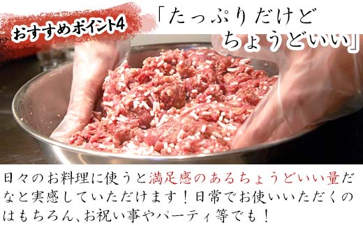 肥前さくらポークミンチ 200g×5パック(合計1kg) 豚肉 餃子 ギフト 冷凍 (鮮度へのこだわり工夫あり！)