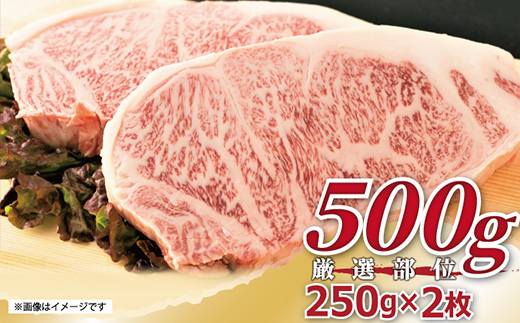 艶さし！佐賀牛サーロインステーキ 250g×2枚(合計500g) 肉 牛肉 ステーキ 焼肉 BBQ バーベキュー ギフト アウトドア 「2024年 令和6年」
