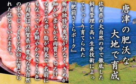 肥前さくらポークローススライス 200g×５パック(合計1kg) 豚肉 生姜焼き しゃぶしゃぶ ギフト 冷凍 (鮮度へのこだわり工夫あり！)