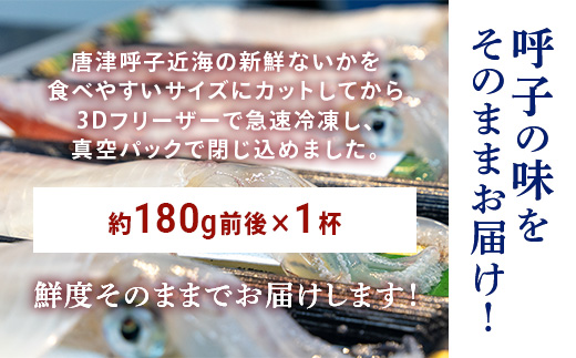 唐津呼子産いか活造り 1杯(180g前後) 急速冷凍 新鮮そのまま食卓へ！イカ 刺身 簡単 ギフト