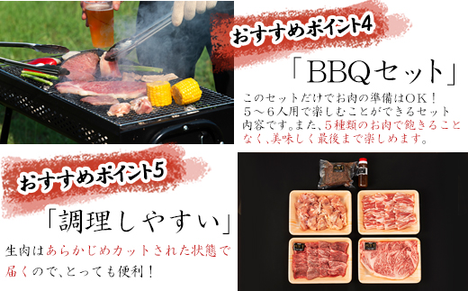 佐賀牛 華味鳥スペシャルBBQセット 5種(タレ付) 合計1.9kg 厳選 アウトドア 「2023年 令和5年」