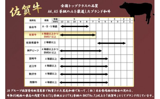 【8月中の発送】佐賀牛 希少部位 焼肉セット匠1kg 和牛 牛肉 ご褒美に ギフト用 家族 焼肉 セット「2024年 令和6年」