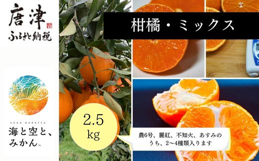 『予約受付』【令和7年1月中旬発送】唐津産ハウス育ち柑橘セット 2.5kg 手提げ箱 (麗紅・あすみ・不知火・農6号の中から2〜4種) 品種おまかせ 〜海と空と、みかん〜 ミカン フルーツ 柑橘 ギフト