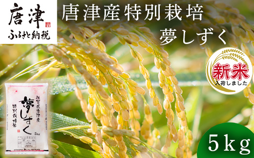 【令和6年産新米】米の食味ランキング3年連続「特A」評価！ 唐津産特別栽培 夢しずく 5kg コメ 精米 お米 ごはん 白米 おにぎり