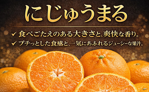 『先行予約』【令和9年3月上旬より順次発送】◎にじゅうまる◎ 5kg 佐賀県産【高級柑橘みかん】果物フルーツ 柑橘