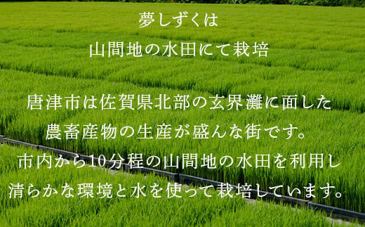 米の食味ランキング3年連続「特A」評価！ 唐津産特別栽培 夢しずく 10kg