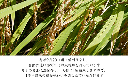 特別栽培棚田米「蕨野」5kg×3袋(合計15kg) 家庭排水が一切入らない自然水で作られたお米 10日に1回精米で新米のような味わい