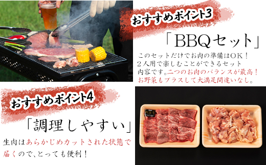 佐賀牛 華味鳥 BBQセット 2種 合計850g アウトドア バーベキュー 牛肉 鶏肉「2023年 令和5年」