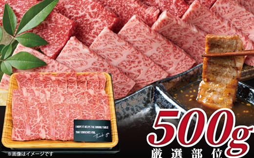 艶さし！佐賀牛焼肉用 500g お肉 牛肉 牛バラ 肩ロース モモ BBQ ギフト アウトドア