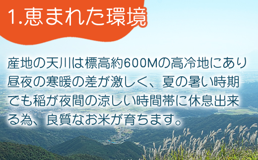 『先行予約』【令和6年産】特別栽培米 【一等米】 唐津市天川産 こしひかり 5kg 減肥減農薬で育てた特別栽培米をお届け たんぱく質が少なく食味が良いお米