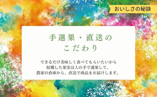 『先行予約』【令和7年6月上旬発送】夏の極上ハウスみかん「夏織」箱込10kg 〜海と空と、みかん〜　甘くてとろける夏の果物 ミカン フルーツ 柑橘