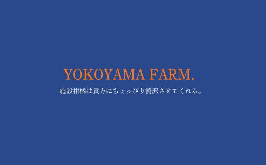 『予約受付』【令和9年1月下旬より順次発送】農家直送！施設育ちの希少柑橘 麗紅(箱込み2.5kg) みかん ミカン 蜜柑 柑橘 ハウス栽培