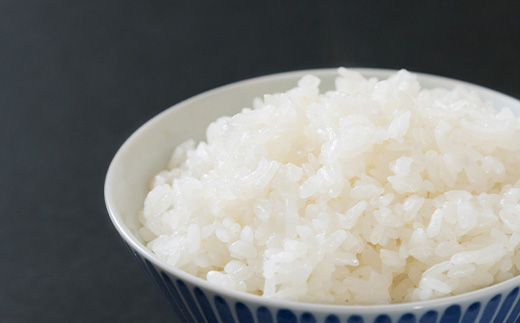 唐津産特別栽培米 コシヒカリ(白米) 4.5kg ご飯 コメ お米