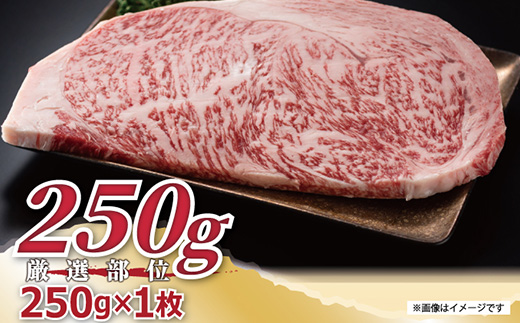 艶さし！佐賀牛サーロインステーキ 250g×1枚 肉 牛肉 ステーキ 焼肉 BBQ バーベキュー ギフト アウトドア 「2024年 令和6年」