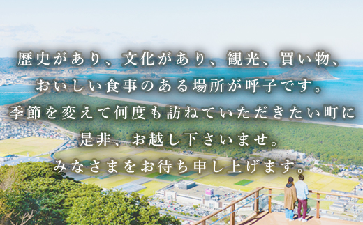 平日限定2名様素泊りご宿泊券 旅行 ギフト