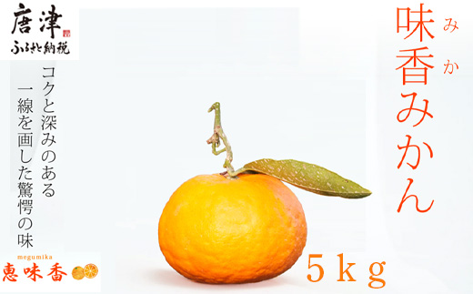 『予約受付』[令和6年2月上旬発送]果皮も丸ごとガブッ!味香みかん 5kg 新種のミカン フルーツ 果物 デザート 柑橘