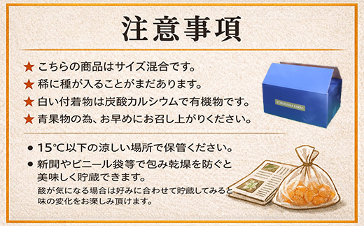 『予約受付』【令和9年1月下旬より順次発送】農家直送！施設育ちの希少柑橘 麗紅(箱込み2.5kg) みかん ミカン 蜜柑 柑橘 ハウス栽培