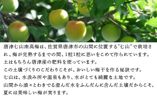 唐津市七山南高梅 田舎梅 (500g×1) 梅干し うめぼし うめ しそ ご飯のお供 ＃irodoriからつ四季の返礼品