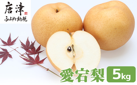 訳あり 今が食べ頃 特栽 旬の梨5kg　愛宕梨　果物 フルーツ くだもの