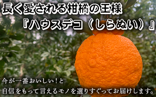 『予約受付』【令和6年2月下旬発送】こだわりの「ハウスデコ(しらぬい)」贈答箱1kg デコポン 不知火 ミカン みかん 柑橘 ギフト