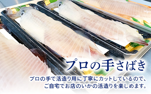 『予約受付』唐津呼子産いか活造り 2杯(約250g×2) 急速冷凍 新鮮そのまま食卓へ！イカ 刺身 簡単 ギフト※水揚げあり次第令和6年5月以降順次発送させていただきます。