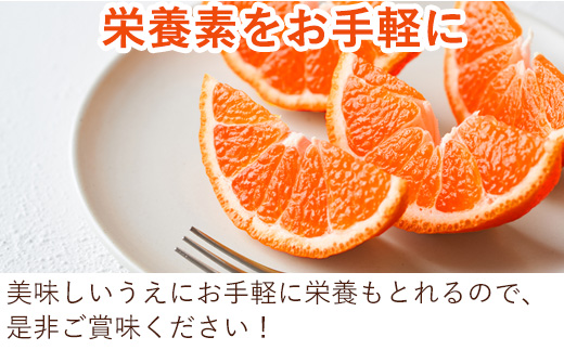 『予約受付』【令和7年2月中旬発送】マーコット（ハウス栽培）唐津産 5kg みかん ミカン 果物 フルーツ