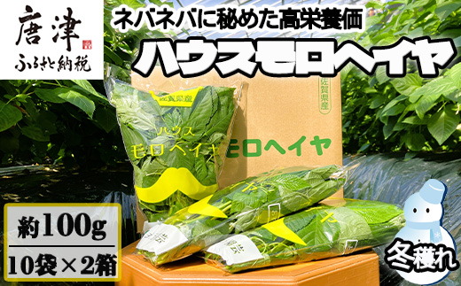 ãå
è¡äºçŽãã12æäžæ¬ããé æ¬¡çºéãå¬ç©«ãããŠã¹ã¢ããã€ã€ 100gÃ10è¢Ã2ç®± ãããã 髿 é€äŸ¡ïŒÎ²ã«ããã³/åçš®ãã¿ãã³/ã«ã«ã·ãŠã /ã«ãªãŠã /èé
žãªã©) å®çªãã²ãã åæŽäžã®åçš®ã¹ãŒã è²ããªãæçã®ãœãŒã¹ã«ã éè ãã°ãã°