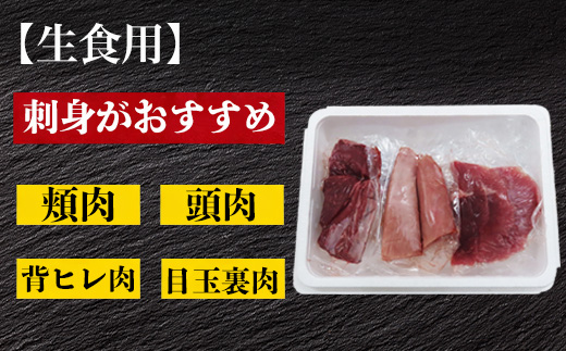 生食・加熱用 国産 黒まぐろ 1尾分 希少部位6種セット マグロ 鮪 刺身 さしみ 煮付け 塩焼き 魚 魚介 海鮮 海産物