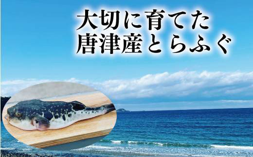 唐津産 とらふぐスパイシー唐揚げ250g×6袋(合計1.5kg) 「2024年 令和6年」