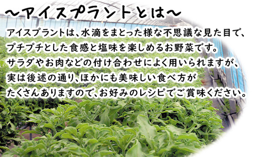 ãå
è¡äºçŽãã12æäžæ¬ããé æ¬¡çºéãå¬ç©«ãããŠã¹ã¢ããã€ã€(100gÃ5è¢)ãšã¢ã€ã¹ãã©ã³ã(70gÃ5P)ã»ãã 3ç®± ãããã 髿 é€äŸ¡ ããããæ°äœéš å®çªãã²ãã åæŽäžã®åçš®ã¹ãŒã ãèã»ãéã®ã¡ã€ã³æçã®ä»ãåãã