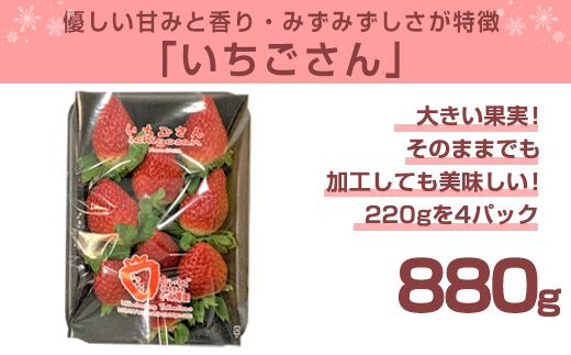 『先行予約』【令和7年3月上旬から4月下旬までにお届け】いちごさん 約220g×4パック (合計約880g) いちご 苺 イチゴ 果物 フルーツ 贈答