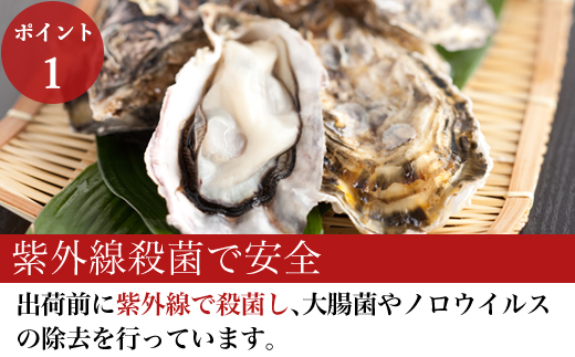 『先行予約』【令和7年1月10日から発送】いろは島の料理長が厳選！唐津産 牡蠣5kg ナイフ 軍手付 (加熱用)殻付き かき カキ 殻付き牡蠣 養殖 まがき 貝 海鮮 シーフード