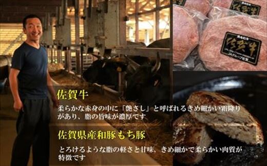 佐賀牛と佐賀県産和豚もち豚の無添加ハンバーグ「さがんバーグ」140g×15個入り