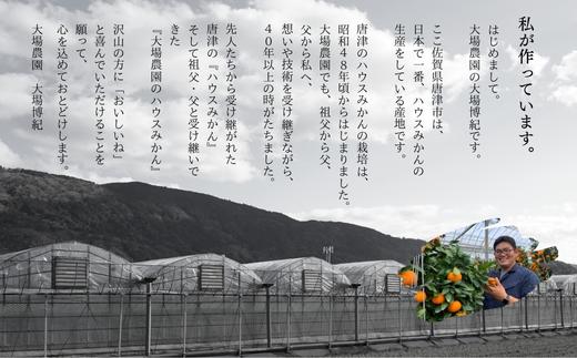 『予約受付』【令和7年1月中旬発送】唐津産ハウス育ち柑橘セット 2.5kg 手提げ箱 (麗紅・あすみ・不知火の中から2～3種) 品種おまかせ ～海と空と、みかん～ ミカン フルーツ 柑橘 ギフト