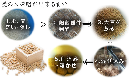 無添加生味噌 600g×3袋セット (合計1.8kg) 愛の木 大豆 みそ 調味料 手作り 味噌汁 みそ汁