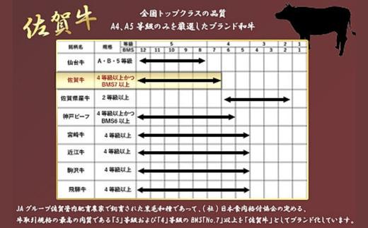 《A5～A4等級》 佐賀牛 ロースステーキ(サーロイン・リブロース)  約300g×2枚(合計約600g) 約4人前 全国屈指のブランド牛 牛肉 ステーキ ギフト 黒毛和牛 肉 冷凍 わけあり 「2024年 令和6年」