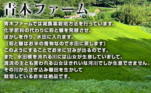 唐津産 七山 棚田米 コシヒカリ 玄米 2合(300g)×5袋セット 減農薬栽培 小分け袋 こしひかり ごはん コメ おにぎり