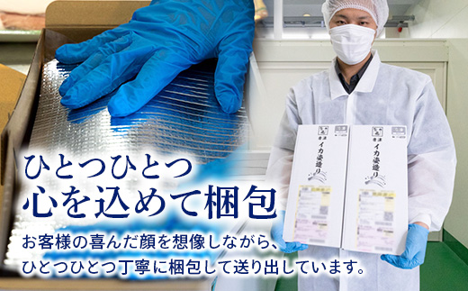 訳あり 唐津呼子産いか活造り 1杯(約200g以上) 急速冷凍 新鮮そのまま食卓へ！イカ 刺身 簡単 ギフト