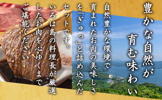 佐賀牛 華味鳥 BBQセット 2種 合計850g アウトドア バーベキュー 牛肉 鶏肉「2023年 令和5年」