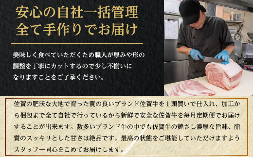 「定期便全6回」 佐賀牛づくし 寄附翌月から発送 (合計2.7kg) A5〜A4等級 ギフト 贈り物