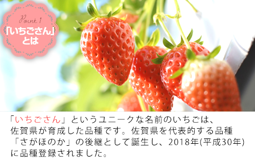 『先行予約』【令和7年3月上旬から4月下旬までにお届け】いちごさん 約220g×4パック (合計約880g) いちご 苺 イチゴ 果物 フルーツ 贈答