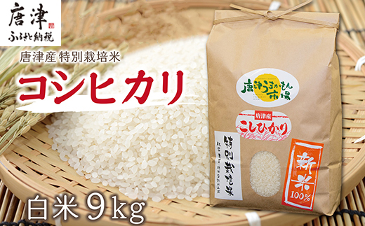 唐津産特別栽培米 コシヒカリ(白米) 4.5kg×2袋(合計9kg) ご飯 コメ お米
