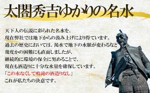 唐津地酒太閤 華やかな吟醸香と軽やかな味わい 香味のバランスに特別に優れた中汲み大吟醸酒 1800ml 3本 究極の日本酒セット E-1