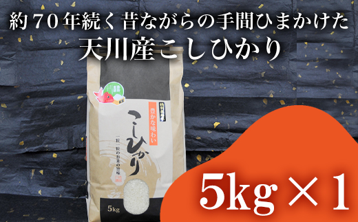 『先行予約』【令和6年産】特別栽培米 【一等米】 唐津市天川産 こしひかり 5kg 減肥減農薬で育てた特別栽培米をお届け たんぱく質が少なく食味が良いお米