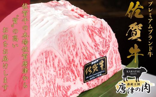 《A5～A4等級》 佐賀牛 ロースステーキ(サーロイン・リブロース) 約250g×2枚(合計約500g) 約3～4人前 全国屈指のブランド牛 牛肉 ステーキ ギフト 黒毛和牛 肉 冷凍 わけあり 「2024年 令和6年」