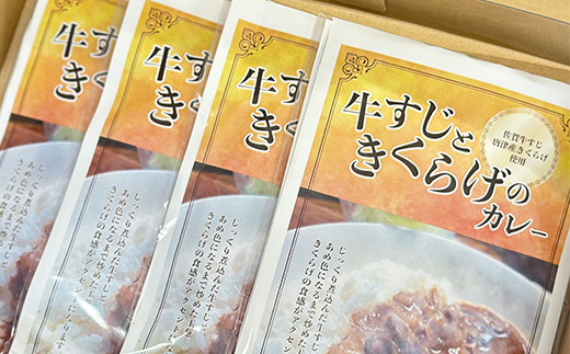 牛すじときくらげのカレー 180g×4袋(合計720g) レトルト カレー 簡単調理